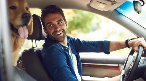 A man driving car smiles at dog in back seat